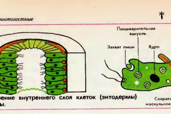 Кракен дарк сайт