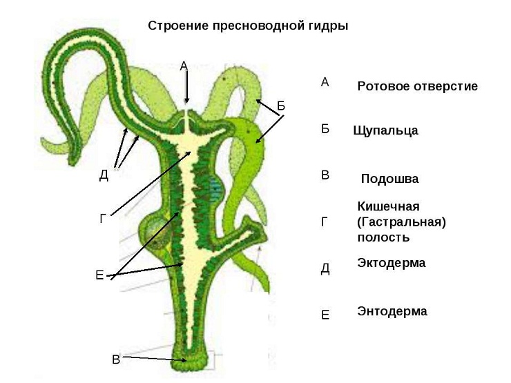 Кракен торговая площадка